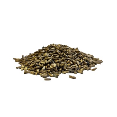 Sikavica-gujino-sjeme5